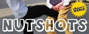 awesome collection of funny nutshots videos pictures galleries and gifs