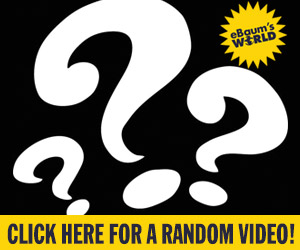 awesome collection of funny  videos pictures galleries and gifs