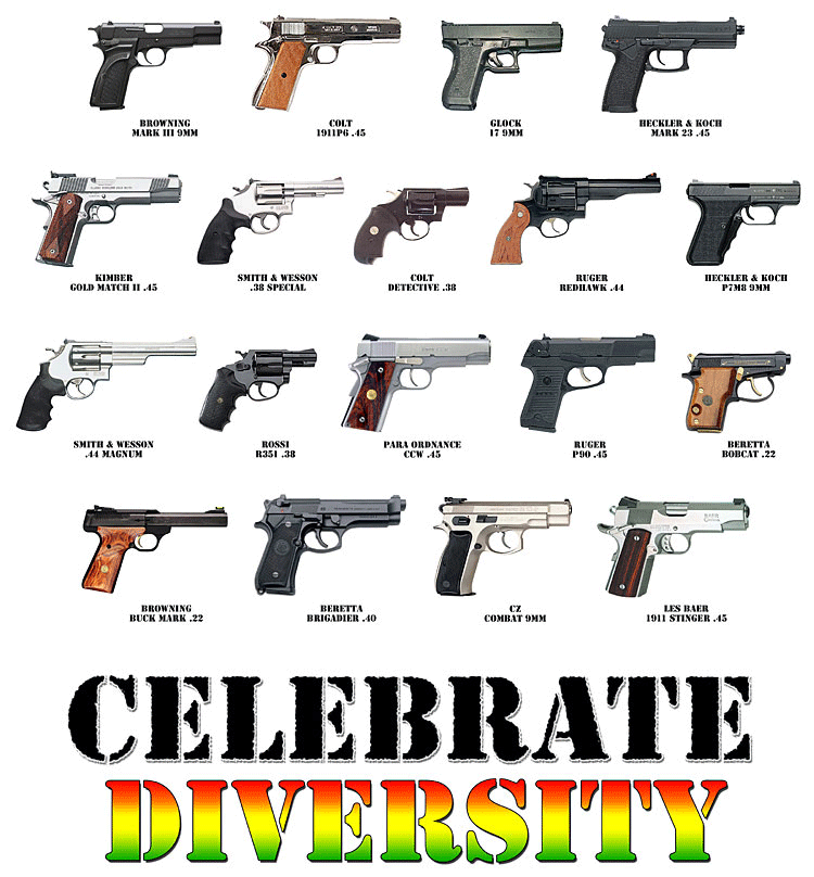 different types of guns with names and pictures