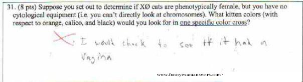 Funny college test answers