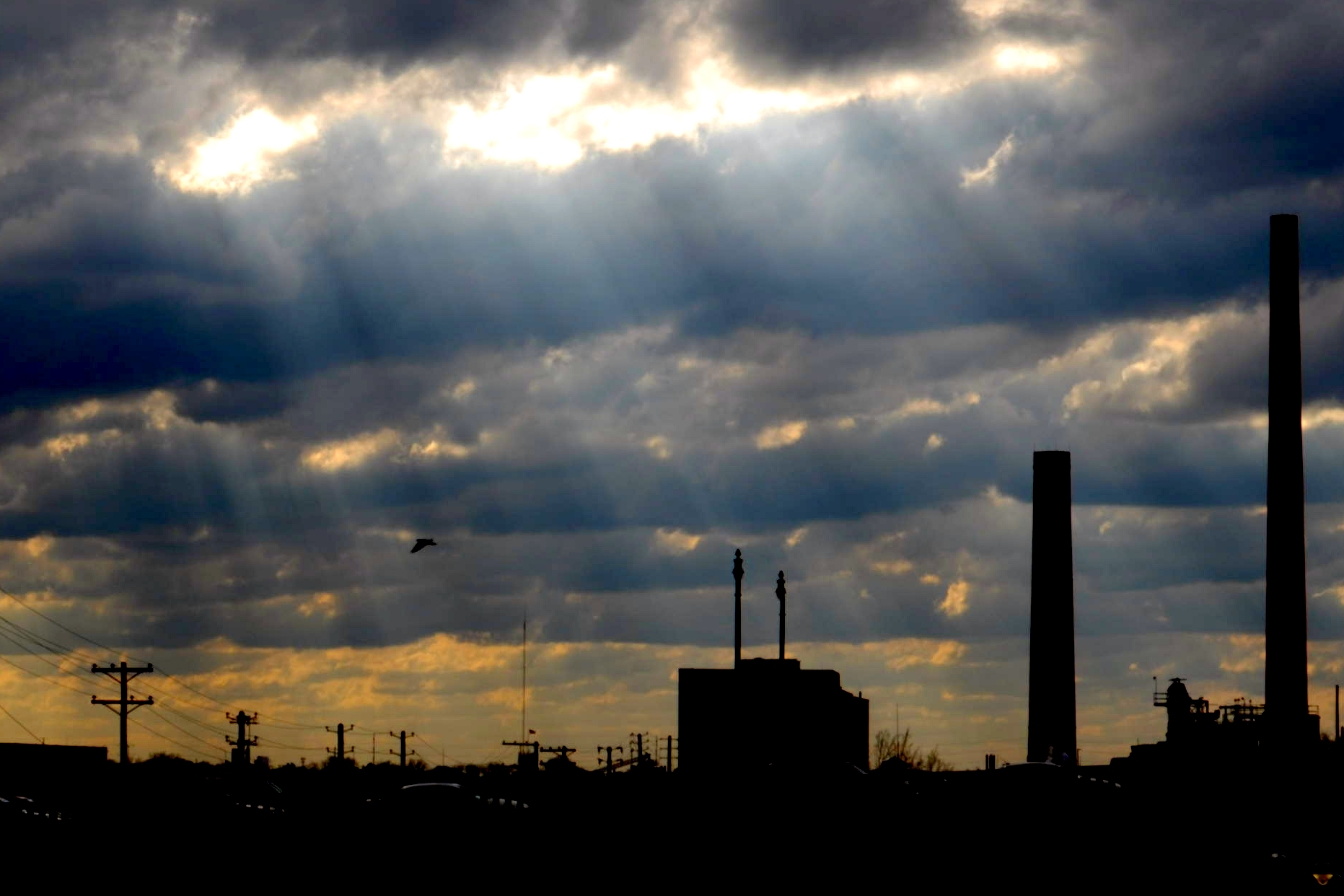 Birds Flight Silhouette