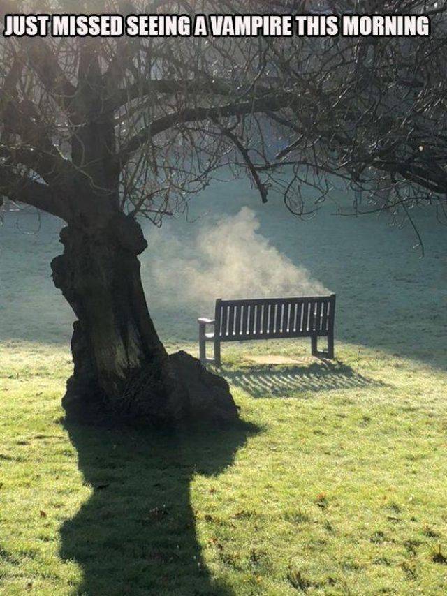 8 - 40 Cool Ass Pics To Fill Your Day With Fun