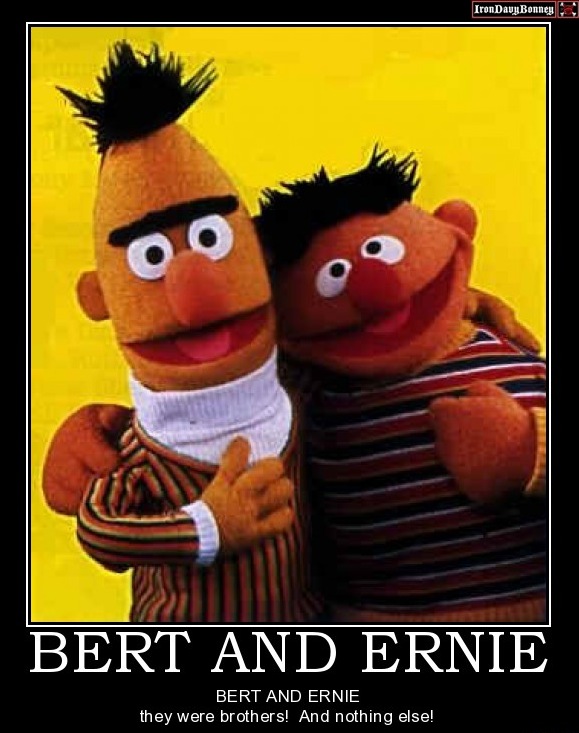 Bert And Ernie Gay Porn - Bert and ernie gay - Man Dick