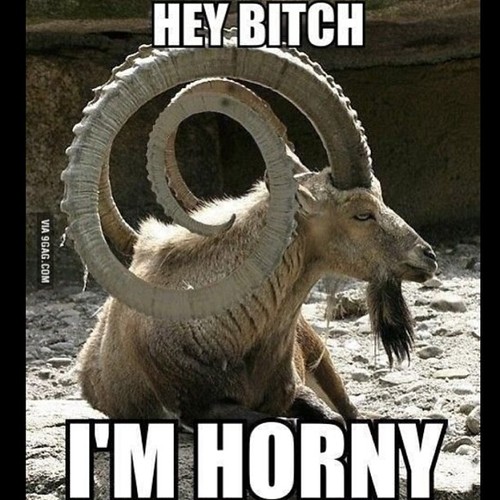 Obscene and Absurd Gallery eBaum's World