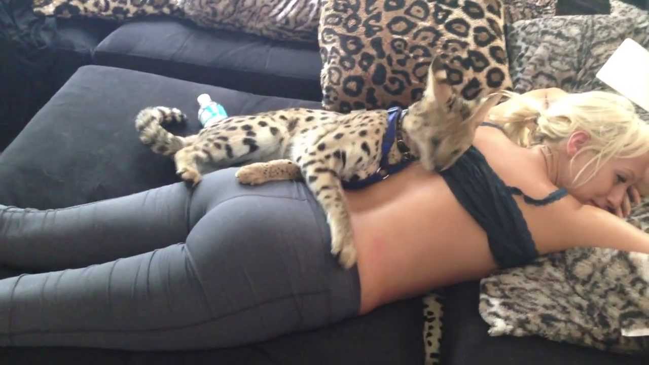 Модель сняла с любовницы леопардовое белье и вылизала письку - порно фото