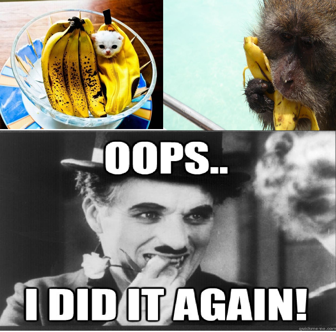 Meme Oops I Did It Again