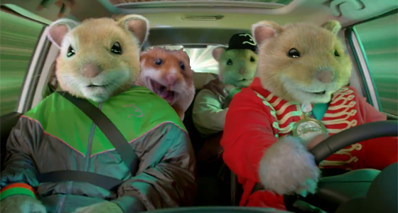 Funny Pfp Hamster / Pictures of the day: 24 July 2012 | Animal, Hamster