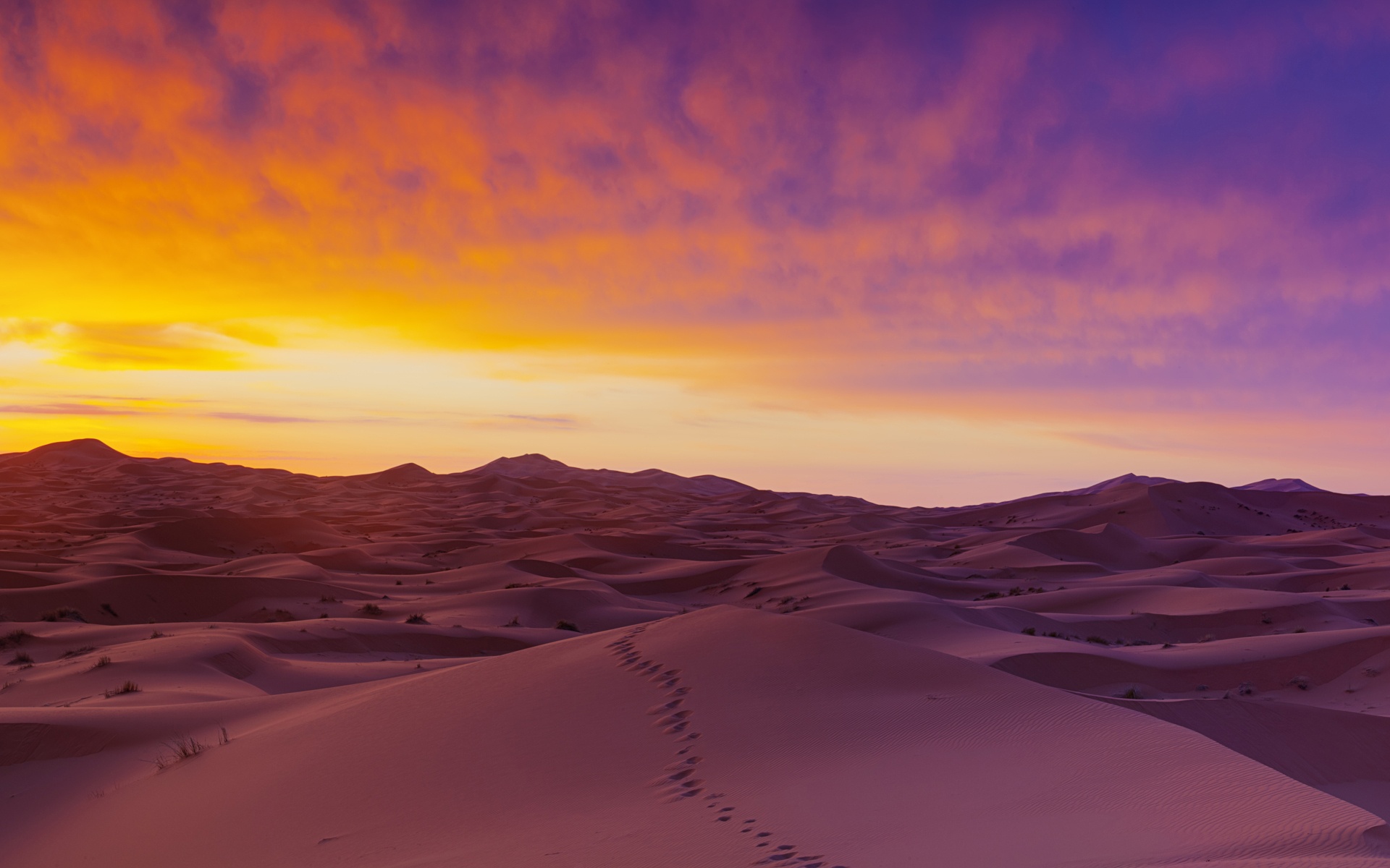 Beautiful pictures of Sahara Desert - Gallery | eBaum's World