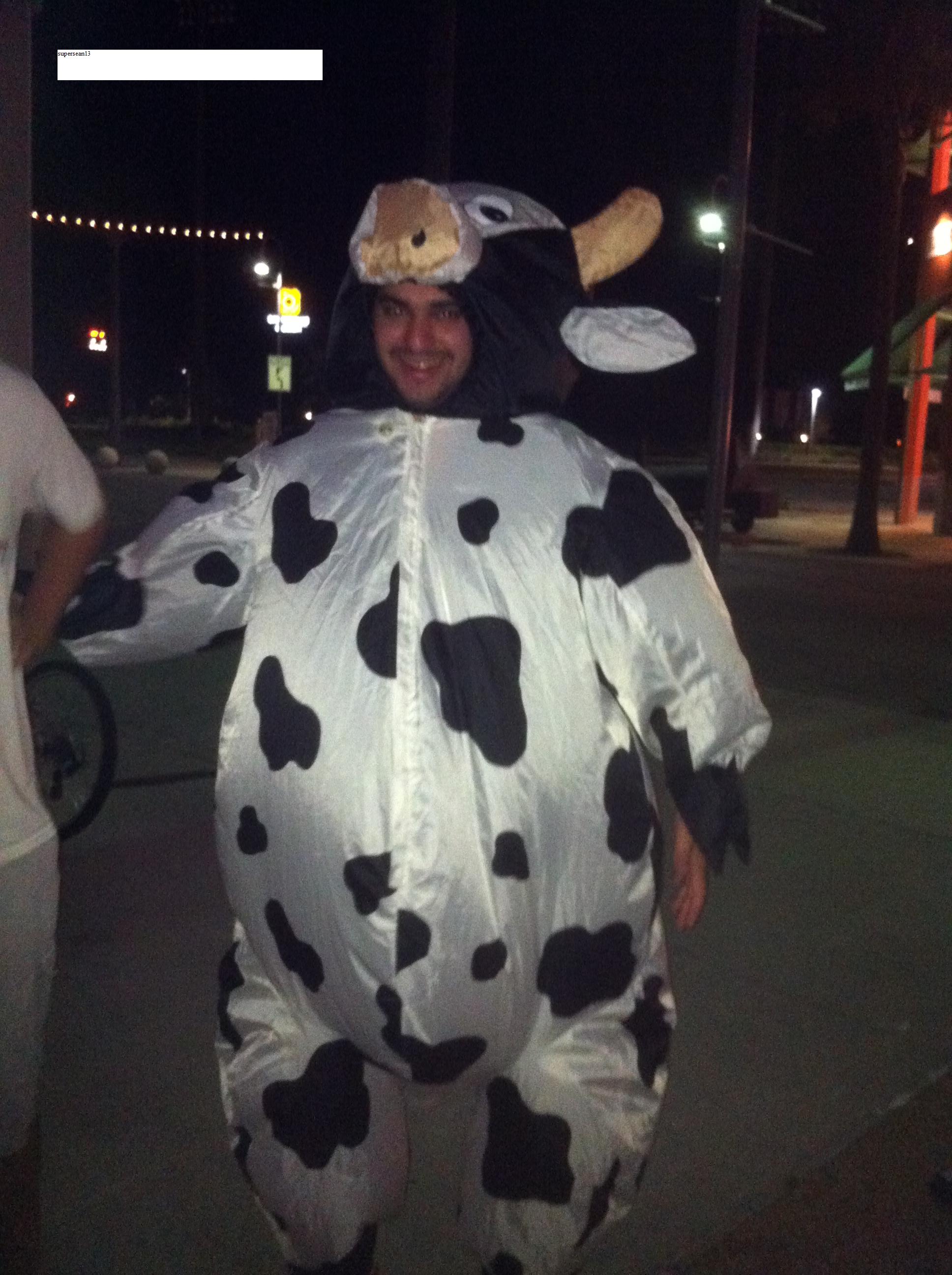 Милявская в костюме коровы