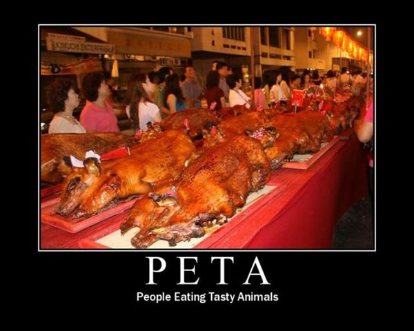 PETA - Picture | eBaum's World