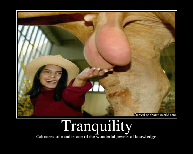 contortionist sexual position amy rose grown up huge breasts