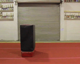 83686679.gif