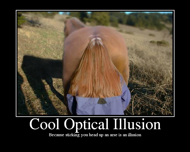Cool Optical Illusion Picture Ebaums World 