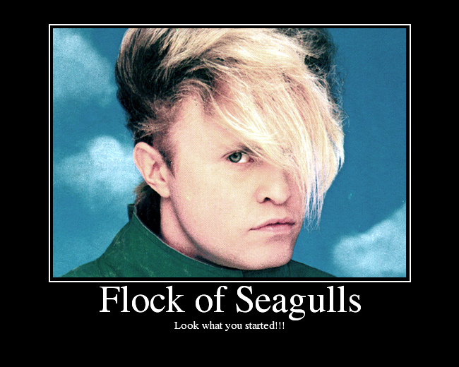 flock of seagulls hair dont care