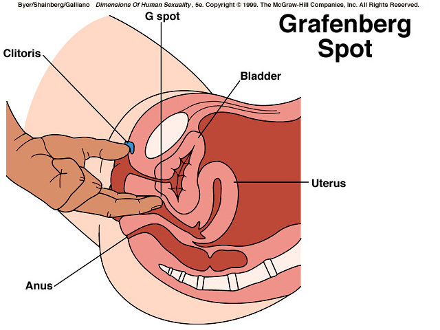 Sex Positions For Gspot 71