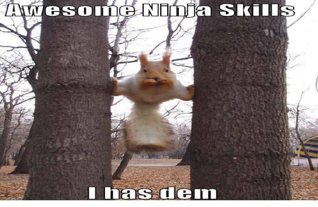 How To Do Ninja Skills