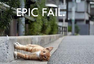 Epic Fail Cat