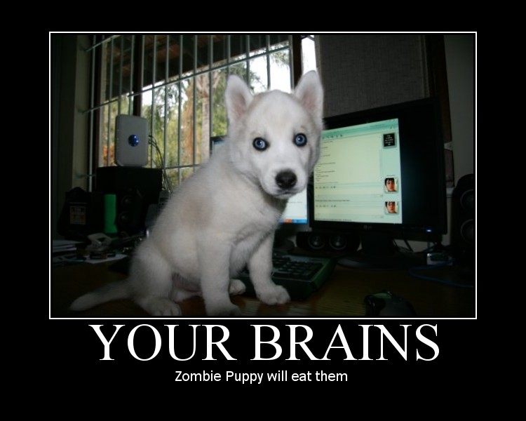 Dog Zombie motivational poster