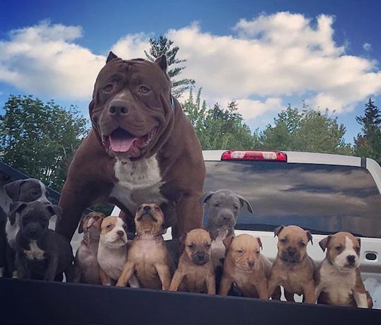 30 - Nonchalant Compilation of 33 Remarkable Images