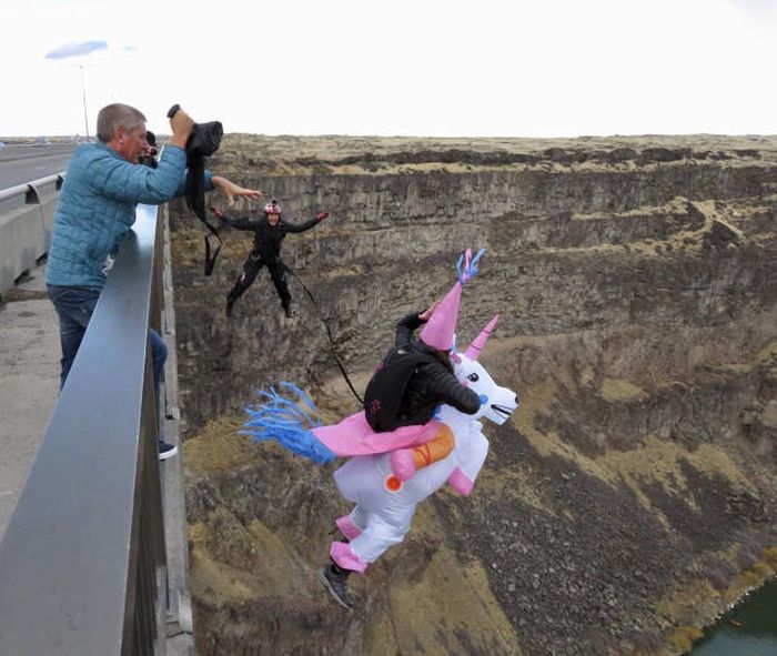 16 - Nonchalant Compilation of 32 Remarkable Images