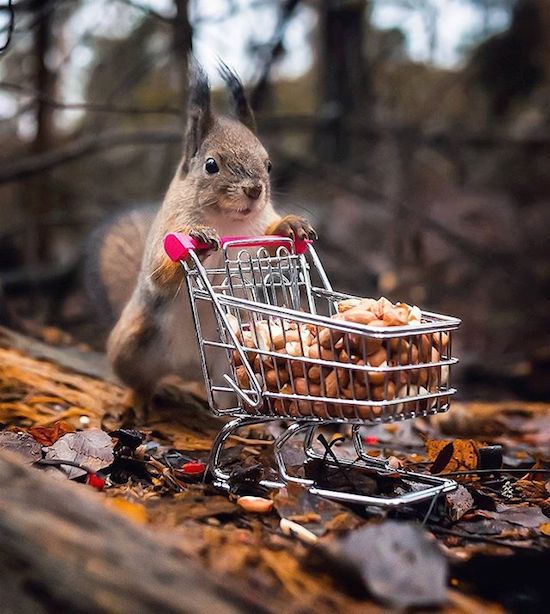 27 - Nonchalant Compilation of 32 Remarkable Images