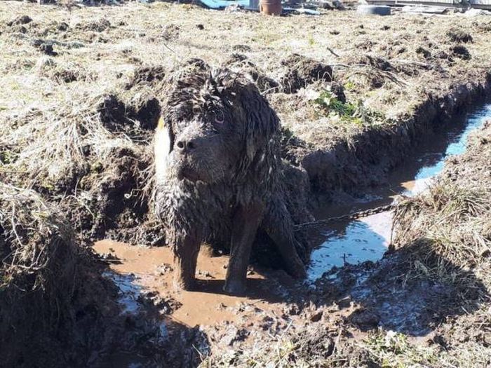 10 - Nonchalant Compilation of 29 Remarkable Images