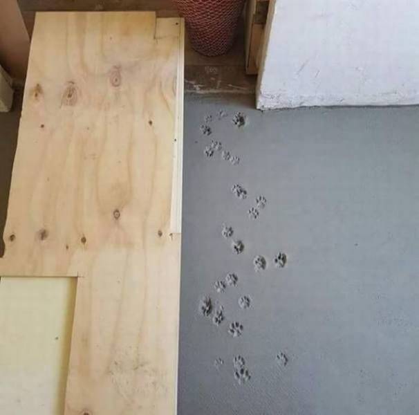 14 - Nonchalant Compilation of 29 Remarkable Images