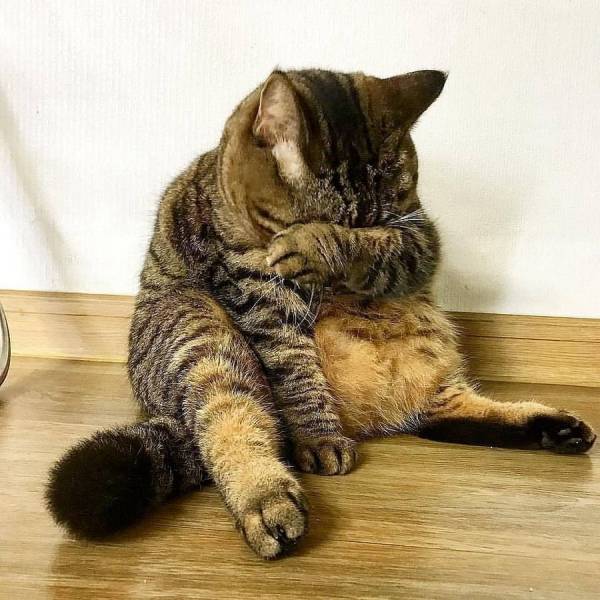 15 - Nonchalant Compilation of 29 Remarkable Images