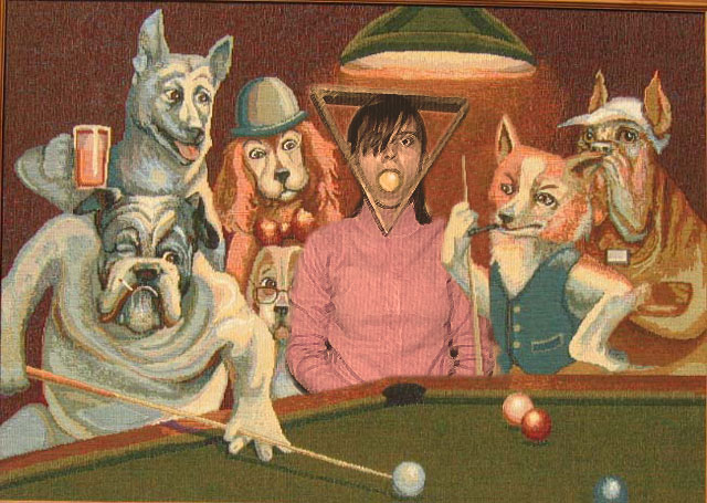 There dogs! and they're playing snooker! Picture eBaum