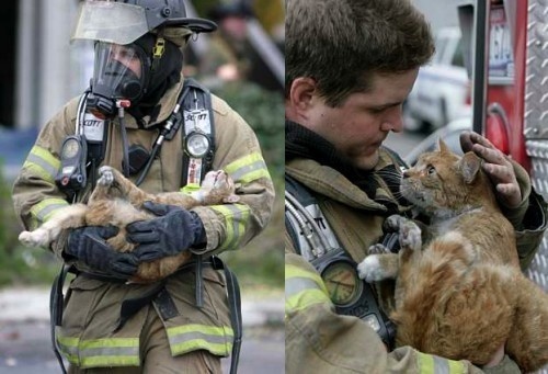 16 - A firefighter saving a cat.
