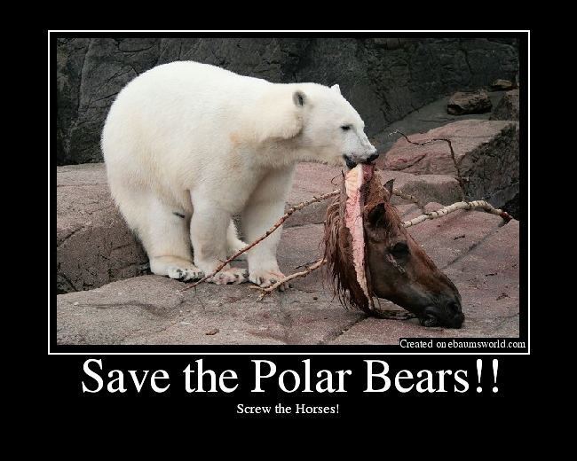 Save the Polar Bears!! Picture eBaum's World