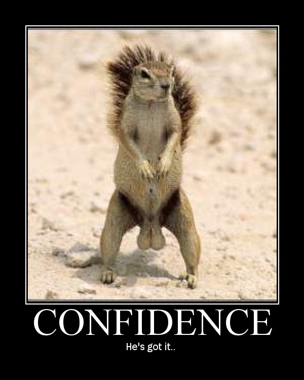 Squirrel Balls Memes