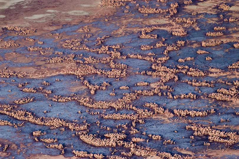 what is lake natron made of