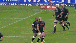 82620744.gif