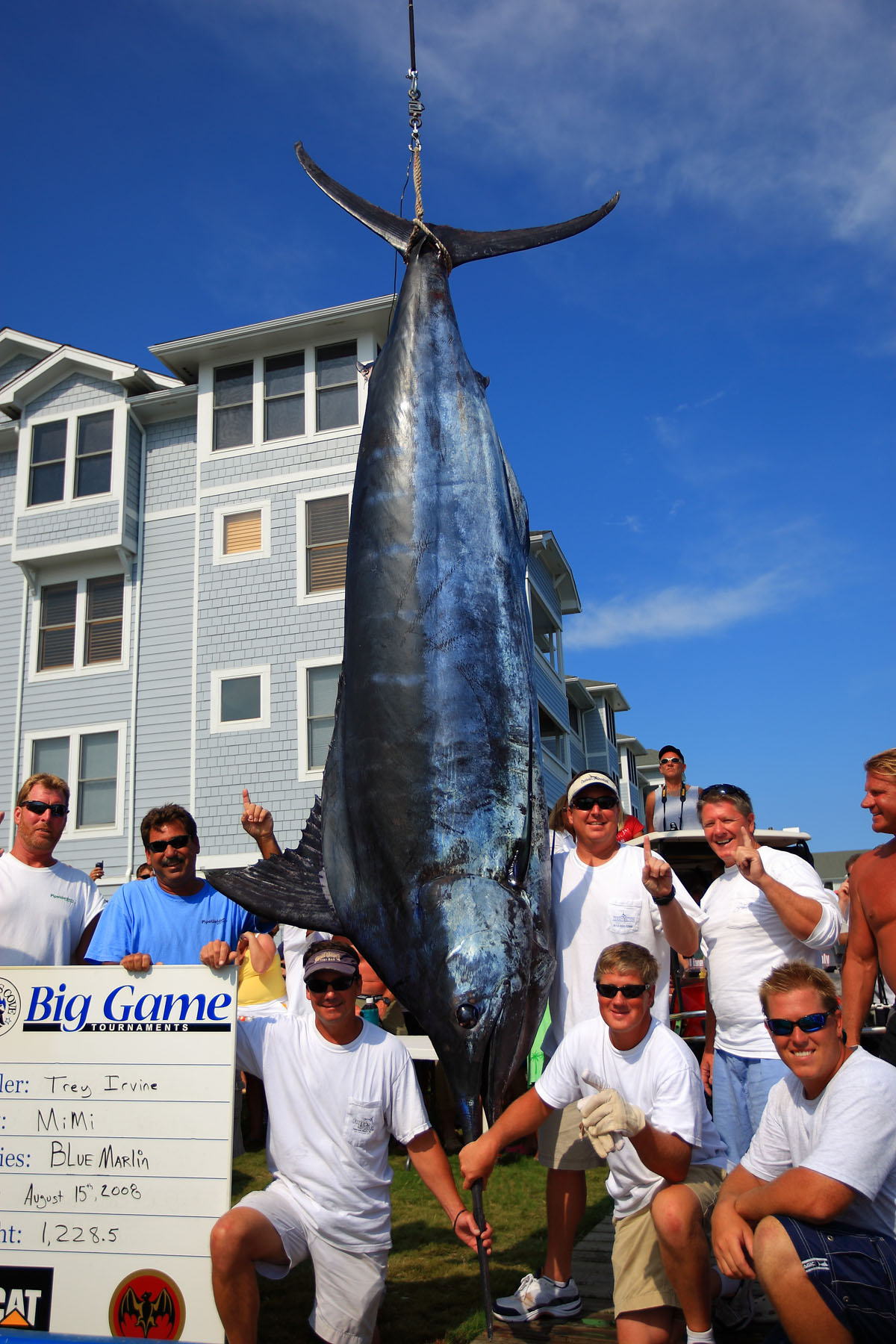 1228-5-lb-blue-marlin-picture-ebaum-s-world