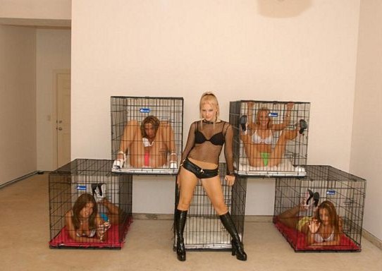 00 Girls In Cages PG 13 Edition Gallery EBaums World