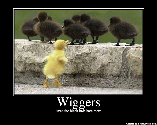 Wiggers - Picture | eBaum's World