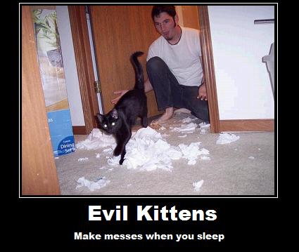 Kittens Are Evil