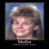 Mullet