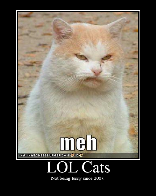 [Image: LOLCats.png]
