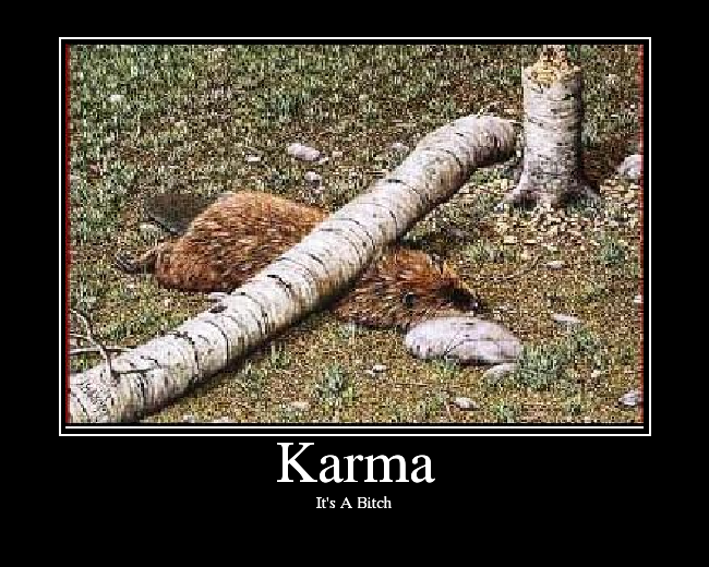 Karma - Picture | eBaum's World