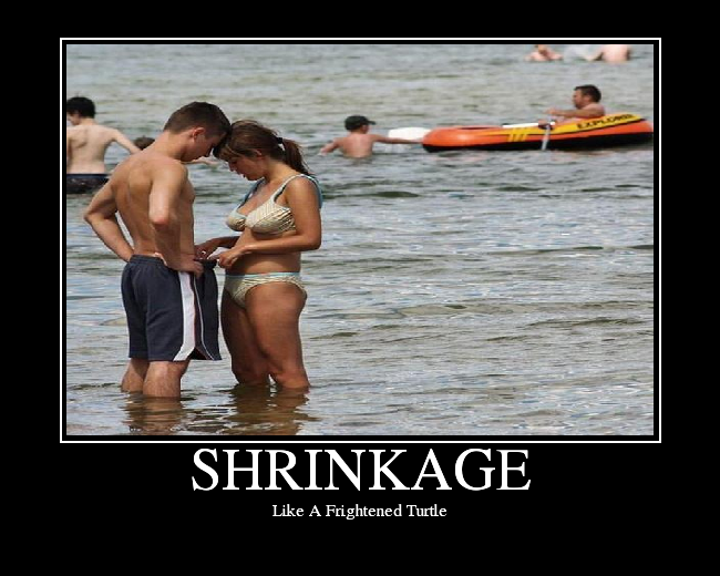 SHRINKAGE-1.png