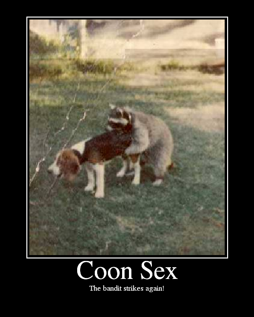 Sex Coon 39