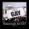 Homosexuals Are GAY