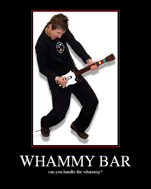 WHAMMY BAR Picture EBaum s World whammy-bar-picture-ebaum-s-world