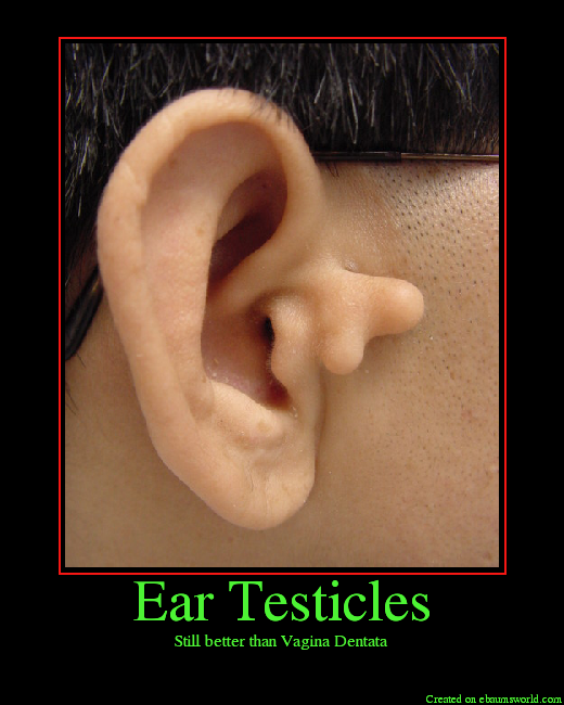 ear-testicles-picture-ebaum-s-world