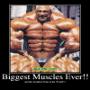 Biggest Muscles Ever!! - Picture | eBaum's World