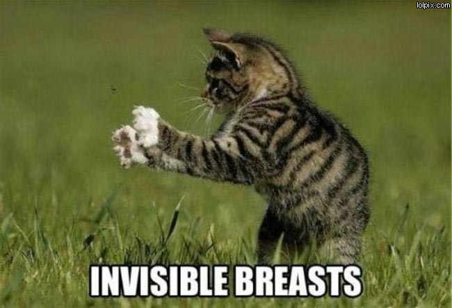 Invisible Breasts