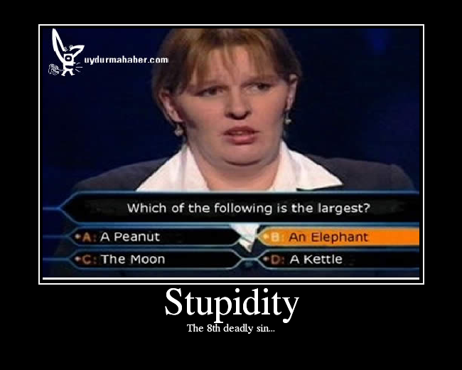 Stupidity.png