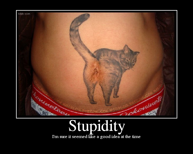 Stupidity.png